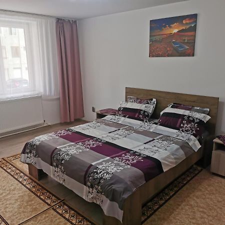 Apartament Bucovina Câmpulung Moldovenesc Exterior photo