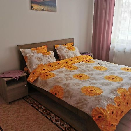 Apartament Bucovina Câmpulung Moldovenesc Exterior photo