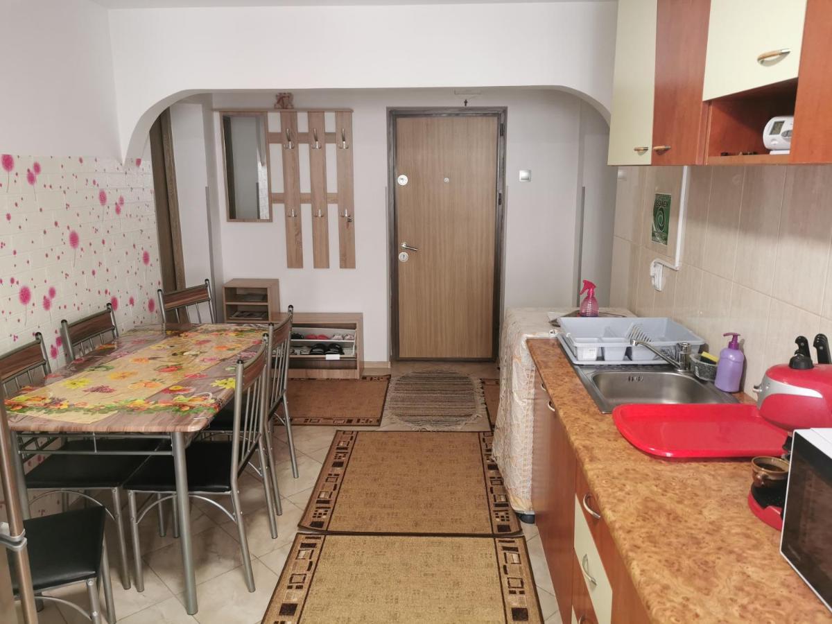 Apartament Bucovina Câmpulung Moldovenesc Exterior photo