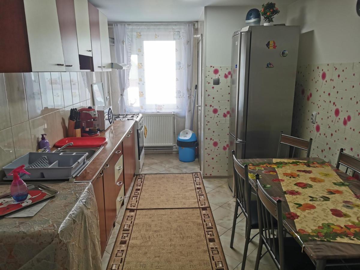 Apartament Bucovina Câmpulung Moldovenesc Exterior photo